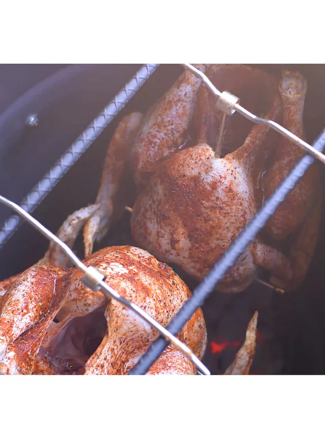 Pit Barrel Stainless Steel Poultry - Image 3
